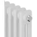 Стальной трубчатый радиатор Royal Thermo Insignia C2180 - 06 секций RAL9016