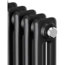 Стальной трубчатый радиатор Royal Thermo Insignia C2180 - 06 секций RAL9005m