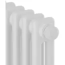 Стальной трубчатый радиатор Royal Thermo Insignia VC2180 - 12 секций RAL9016