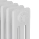 Стальной трубчатый радиатор Royal Thermo Insignia VC3050 - 14 секций RAL9016
