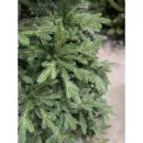 Ель GrandSiti Парма 2.4 м