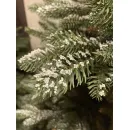 Ель GreenTerra Квебек 1.8 м