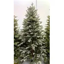 Ель GreenTerra Квебек 1.8 м