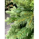 Ель GreenTerra Монсанта 2.1 м