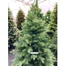 Ель GreenTerra Монсанта 2.1 м