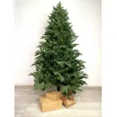 Ель GreenTerra Монсанта 2.1 м