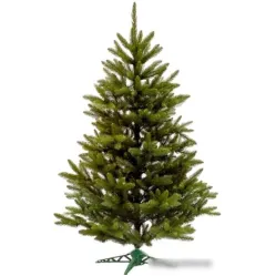 Ель Dommelochi Сверк Дикий 1.8 м.