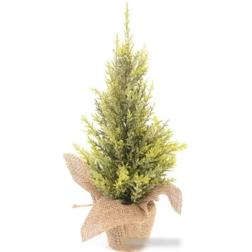 Ель Erbis Cyprys Brokat 40