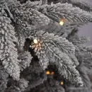 Ель GrandSiti Arona плюс 2.1 м