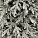 Ель GrandSiti Женева 1.8 м