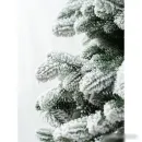 Ель National Tree Company Ариадна заснеженная АРД/ЗСН-180 180 см