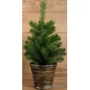 Елочка настольная Neon-night 533-334