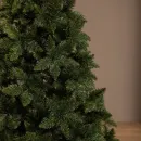 Ель Ёлушка Невская ЕНЕВ 11 (1.1м)