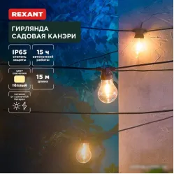 Новогодняя гирлянда Rexant Канэри 602-2422