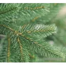 Ель Бифорес Фантастика Микс (1.65 м, темно-зеленый)