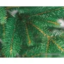 Ель Бифорес Фантастика Микс (1.65 м, темно-зеленый)