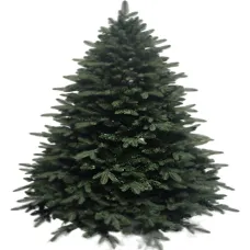 Ель Homa Victoria 20-210