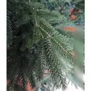 Ель Maxy Poland Императорская литая (2.1м)