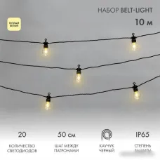 Новогодняя гирлянда Neon-Night Уличная Лофт 10 м 331-355 (теплый белый)