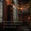 Новогодняя гирлянда Neon-Night Уличная Лофт 10 м 331-355 (теплый белый)