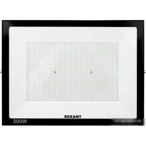 Уличный прожектор Rexant 605-030