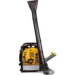 Воздуходувка Champion GBR357