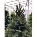 GreenTerra Босния (1.8м)