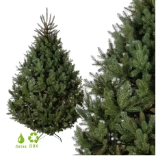 GreenTerra Босния (2.5м)