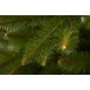 Ель GreenTerra Бовари 1.8 м