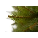 Ель GreenTerra Бовари 1.8 м