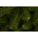 Ель GreenTerra Бовари 2.5 м