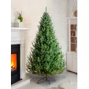 Ель GreenTerra Элоди 1.5 м