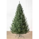 Ель GreenTerra Элоди 2.5 м