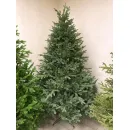 Ель GreenTerra Мариэль 2.1 м