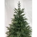 Ель GreenTerra Милтон 2.4 м