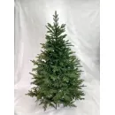 Ель GreenTerra Милтон 2.4 м