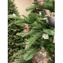 Ель GreenTerra Нобилис 2.4 м