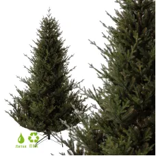 Ель GreenTerra Норвегия (2.5м)