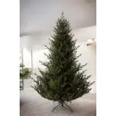 Ель GreenTerra Норвегия (2.5м)