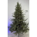 Ель GreenTerra Норвегия (2.5м)