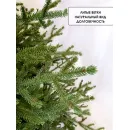 Ель GreenTerra Вилтони 1.8 м