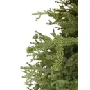 Ель GreenTerra Вилтони 1.8 м