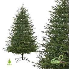 Ель GreenTerra Вилтони 2.4 м