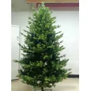 Ель GreenTerra Ванкувер 2.4 м