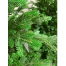 Ель GreenTerra Хаген Премиум 2.4 м