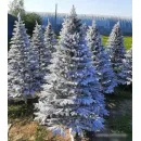 Ель Maxy Poland Наоми Заснеженная с литыми ветками 1.8 м