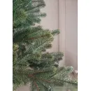 Ель Maxy Poland Королева Ядвига Премиум 3 м