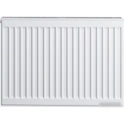 Стальной панельный радиатор Brugman Tип 22 300x100x1000 FEK220301001UBY (боковое подключение)