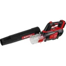 Ручная воздуходувка Wortex BB 2018 D ALL1 XLT Set 1333739 (с 1-им АКБ)