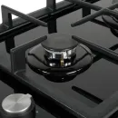 Варочная панель Making Oasis Everywhere P-GBD